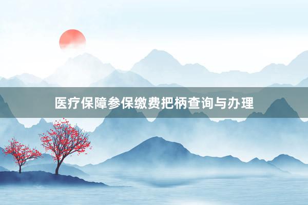 医疗保障参保缴费把柄查询与办理