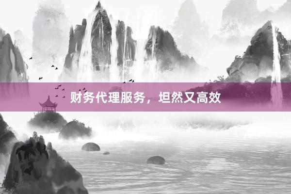 财务代理服务，坦然又高效